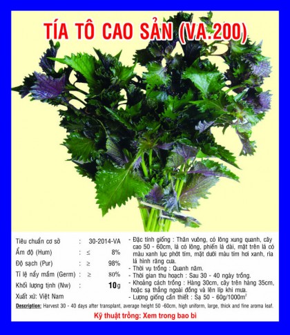 Rau tía tô - Việt á Seeds - Công Ty TNHH Phát Triển Nông Nghiệp Việt Á